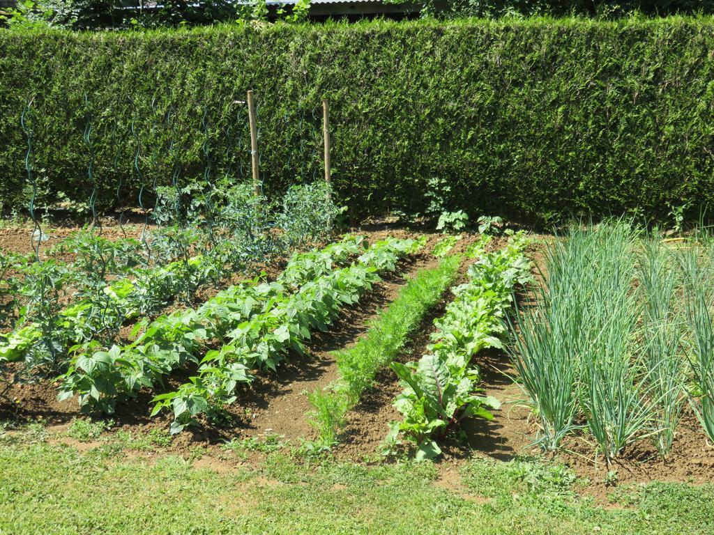 Bed and Breakfast Les Quatre Saisons Moitron-sur-Sarthe Экстерьер фото