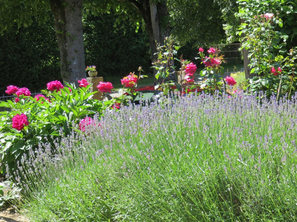 Bed and Breakfast Les Quatre Saisons Moitron-sur-Sarthe Экстерьер фото