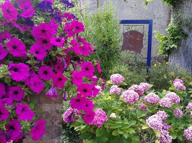 Bed and Breakfast Les Quatre Saisons Moitron-sur-Sarthe Экстерьер фото